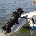 Skamper Ramp su una barca