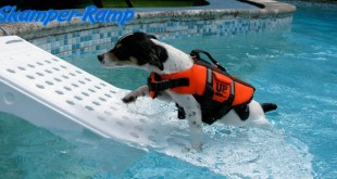 Sakmper Ramp: sicurezza per gli animali in piscina