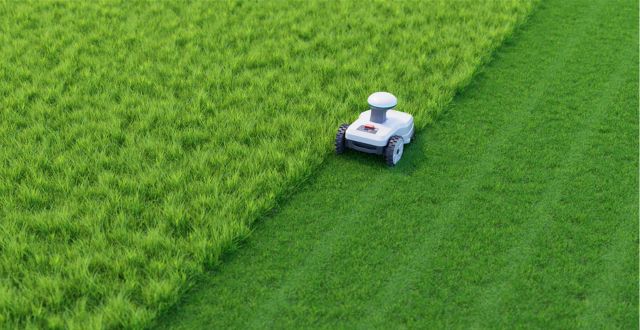taglio robot tagliaerba